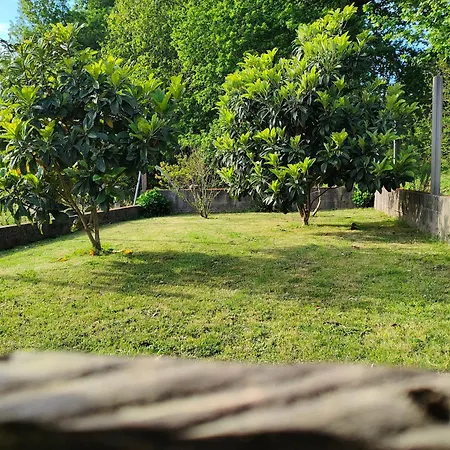 Holiday home Casa Turistica A Ardina